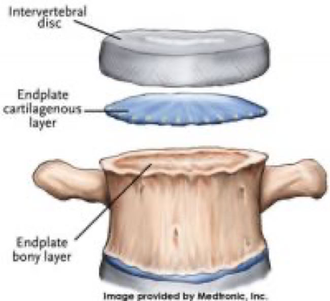 layers of the disc